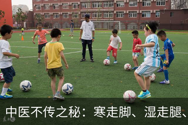 中医不传之秘：寒走脚、湿走腿、瘀走膝…看懂这张腿脚地图少生病