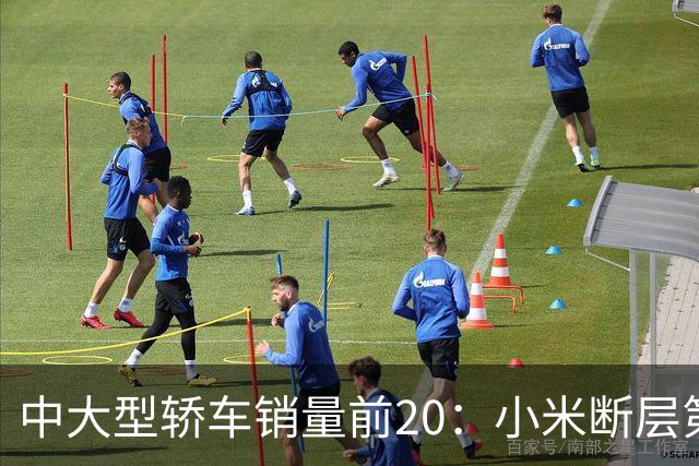 中大型轿车销量前20：小米断层第一，BBA还在牌桌上