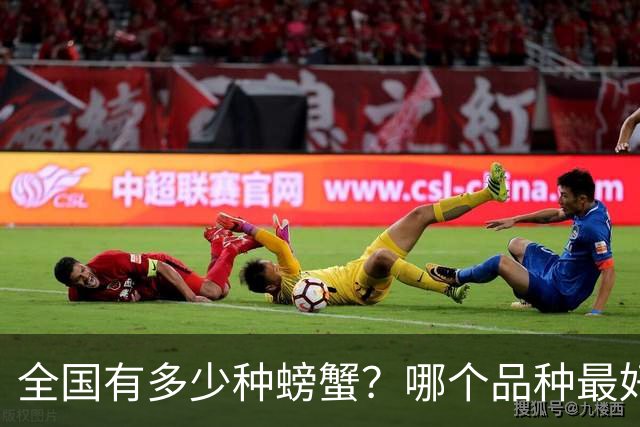 全国有多少种螃蟹？哪个品种最好吃？涨知识了