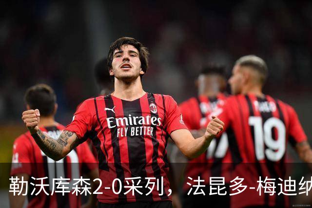 勒沃库森2-0采列，法昆多-梅迪纳破门