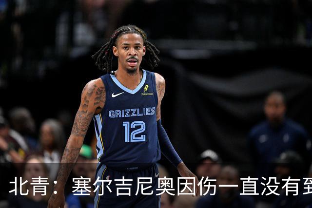 北青：塞尔吉尼奥因伤一直没有到国足；巴顿集训中受伤离队