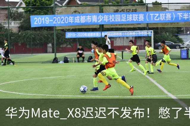 华为Mate X8迟迟不发布！憋了半年的王炸，到底有多强？