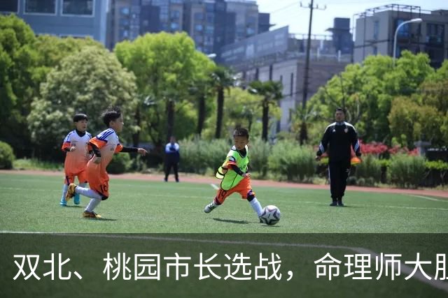 双北、桃园市长选战，命理师大胆预测结局