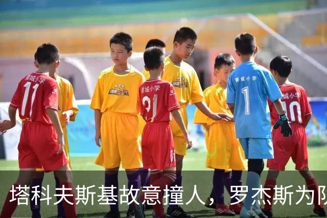 塔科夫斯基故意撞人，罗杰斯为队友出头死拽球衣，两人双双染黄