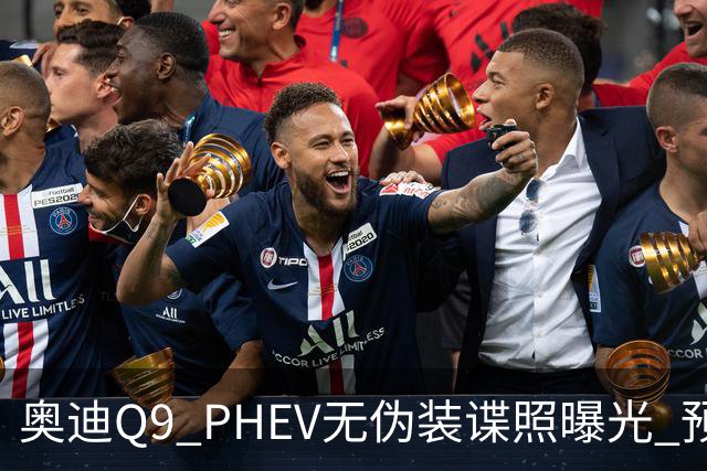 奥迪Q9 PHEV无伪装谍照曝光 预计2027年上市