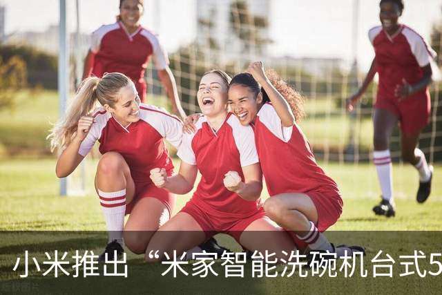 小米推出“米家智能洗碗机台式5套”，1998元