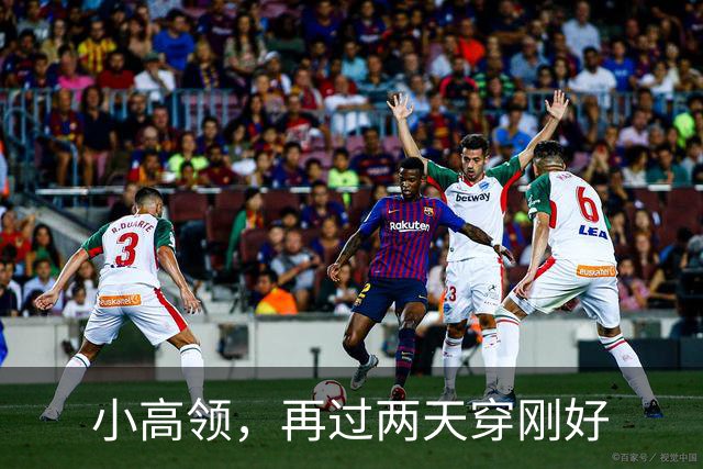 小高领，再过两天穿刚好
