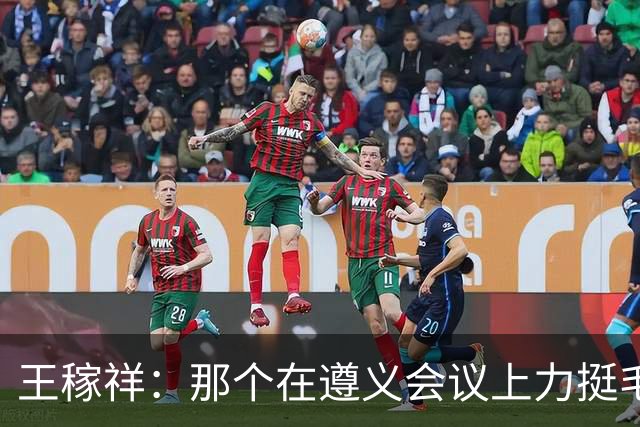 王稼祥：那个在遵义会议上力挺毛主席的人，后来怎么了？