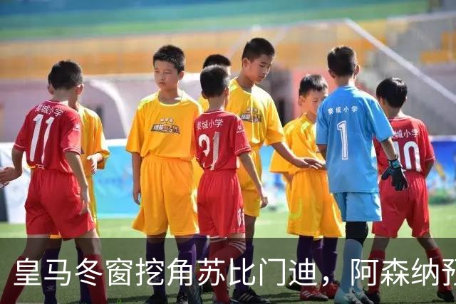 皇马冬窗挖角苏比门迪，阿森纳预计拒绝所有报价
