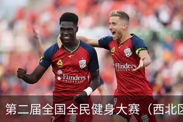 第二届全国全民健身大赛（西北区）匹克球比赛在青海开赛-国际在线