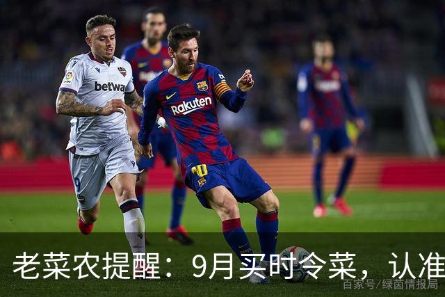 老菜农提醒：9月买时令菜，认准这5种，基本不打农药，便宜又养人，让家里人吃起来！
