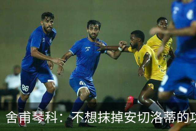 舍甫琴科：不想抹掉安切洛蒂的功劳，但执教那支米兰很轻松