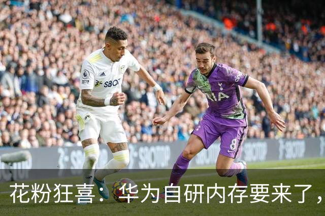 花粉狂喜：华为自研内存要来了，下一代华为手机或性价比更高！