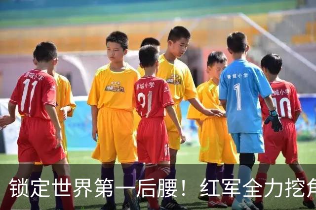 锁定世界第一后腰！红军全力挖角皇马巨星，完美接班法比尼奥
