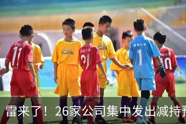 雷来了！26家公司集中发出减持预告，有你的持仓吗？