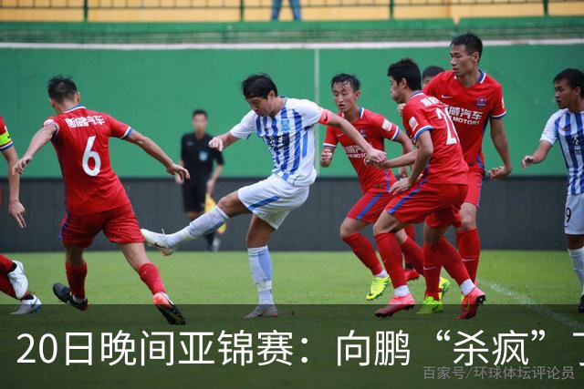 20日晚间亚锦赛：向鹏“杀疯”了，李天阳造惨案，国乒剑指冠军！