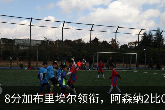 8分加布里埃尔领衔，阿森纳2比0埃弗顿追平曼城积分