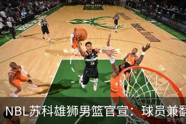 NBL苏科雄狮男篮官宣：球员兼翻译双线就位 林胤轩正式加盟
