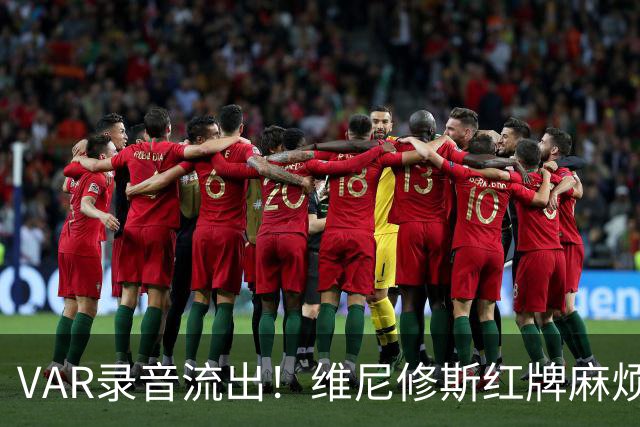 VAR录音流出！维尼修斯红牌麻烦大了